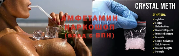 стаф Аркадак