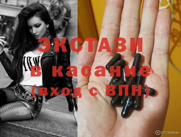 стаф Аркадак