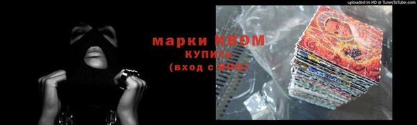 стаф Аркадак