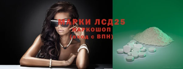 стаф Аркадак