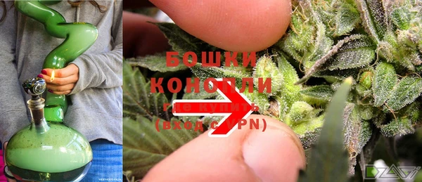 стаф Аркадак