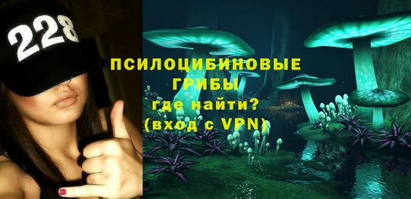 стаф Аркадак