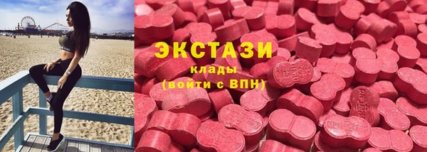 стаф Аркадак