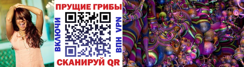 где продают наркотики  Лянтор  Псилоцибиновые грибы мухоморы 